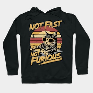 Not Almost Not Furious Lazy Relaxed Cat Hoodie